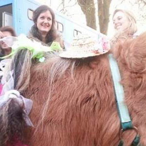 Stanwick Party Ponies