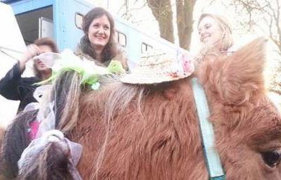 Stanwick Party Ponies