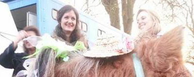 Stanwick Party Ponies
