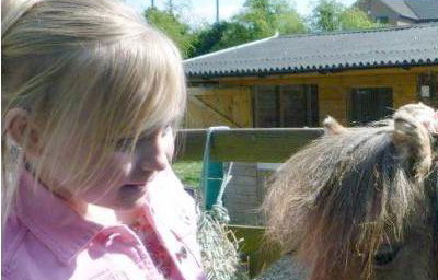 Stanwick Party Ponies