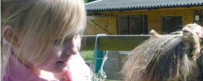 Stanwick Party Ponies