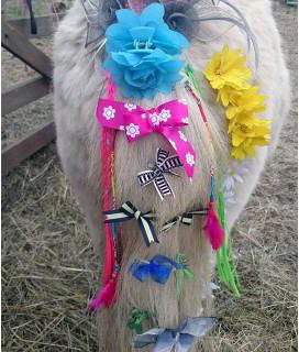 Stanwick Party Ponies