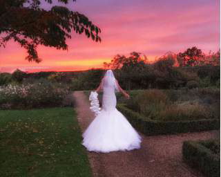 Wedding Photography