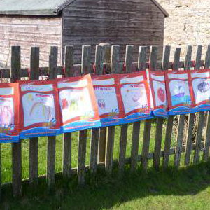 Party Bag Fence