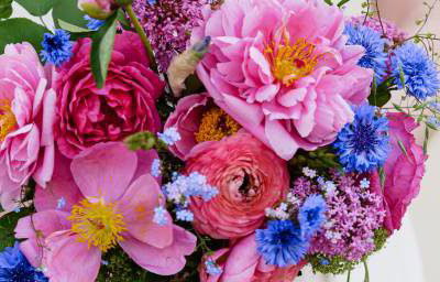 poundbury-florist-shoot-178-ZF-6606-70466-1-001-177
