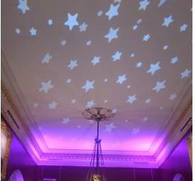 Ceiling Projection at Goodwood House, Chichester