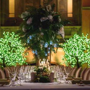Cowdray House  with our new uplighters and Pin Spots 5th April 2018 3