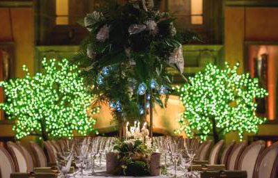 Cowdray House  with our new uplighters and Pin Spots 5th April 2018 3
