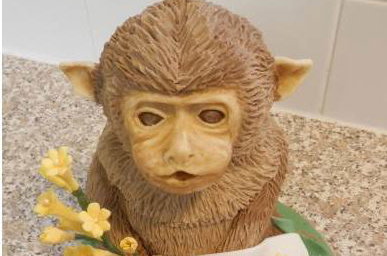 Crispy Treats Monkey