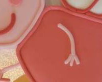 Peppa Pig Fairy Novelty Birthday Cake