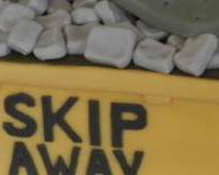 Novelty Skip Cake