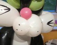 balloon-cat