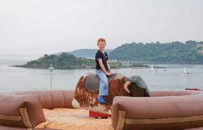 Rodeo Bull