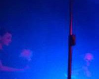 Stage Shows
