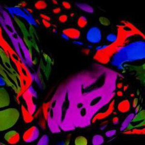 Full Body Art