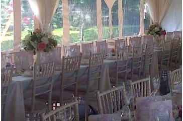Bees Knees Marquees