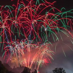 Firework Champions Winning Display