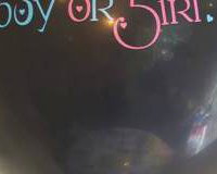 Gender Reveal Balloons 