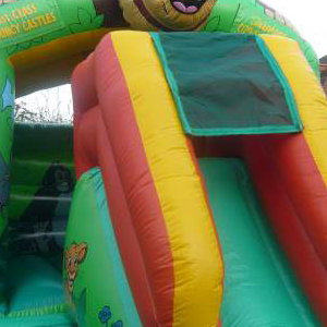 Jungle Slide Combi