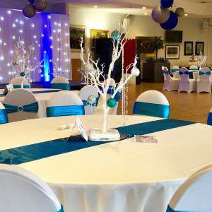 Starlight backdrop hire in Hertfordshire, Bedfordshire, Essex & surrounding areas. Perfect for weddings, birthdays or corporate events