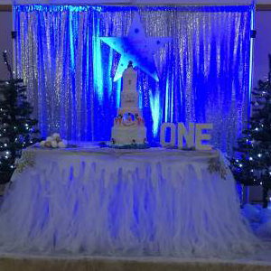 Winter Wonderland Feature Table hire in Hertfordshire, Bedfordshire, Essex & surrounding areas. Perfect for birthdays or corporate events