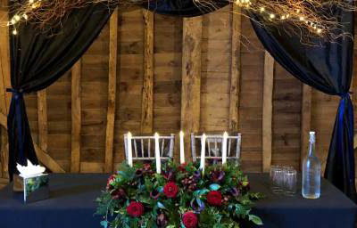 Twilight Willow Themed Backdrop hire in Hertfordshire, Bedfordshire, Essex & surrounding areas.