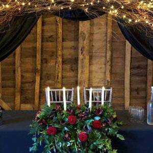 Twilight Willow Themed Backdrop hire in Hertfordshire, Bedfordshire, Essex & surrounding areas.