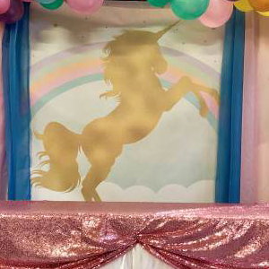Unicorn theme decor packages in Hertfordshire, Bedfordshire, Essex & surrounding areas.
