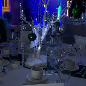 Winter Wonderland venue styling in Hertfordshire, Bedfordshire, Essex & surrounding areas. Perfect for birthdays or corporate events