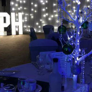 Winter Wonderland venue styling in Hertfordshire, Bedfordshire, Essex & surrounding areas. Perfect for birthdays or corporate events