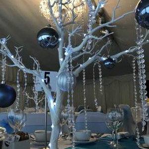 Winter Wonderland table centrepiece hire in Hertfordshire, Bedfordshire, Essex & surrounding areas. Perfect for birthdays or corporate events