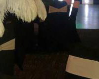 Gatsby themed venue styling available in Hertfordshire, Bedfordshire, Essex & surrounding areas