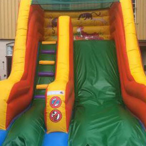 Jungle Slide