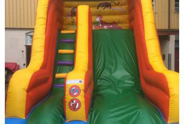 Jungle Slide