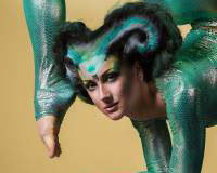 Circus Acts - Acrobats, Aerial Acts, Contortionists, Fire Eaters, Hoop Dancers, Jugglers and more.