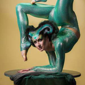 Circus Acts - Acrobats, Aerial Acts, Contortionists, Fire Eaters, Hoop Dancers, Jugglers and more.