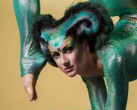 Circus Acts - Acrobats, Aerial Acts, Contortionists, Fire Eaters, Hoop Dancers, Jugglers and more.