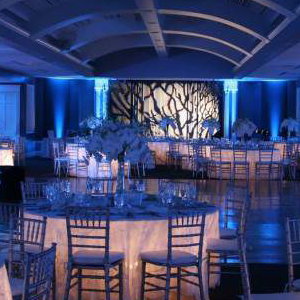 Wedding LED Mood Lights