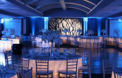 Wedding LED Mood Lights