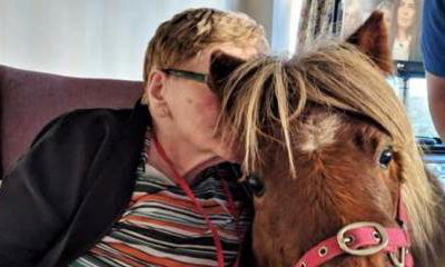 Lollipop Pony Parties