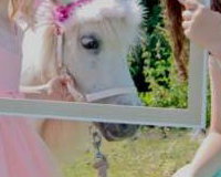 Ponies & Play Package 1