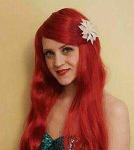 The Mermaid Princess