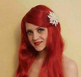 The Mermaid Princess