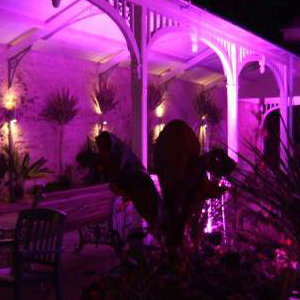 Princess Pavillions - Falmouth