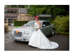 Style Wedding Cars logo