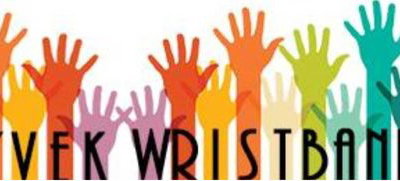 Tyvek Wristbands