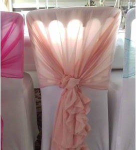 Gorgeous_Blush_Pink_Ruffle_Hood_Embellish_Venue_Styling