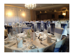 Embellish Venue Styling logo