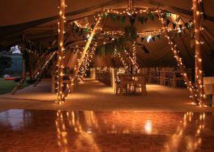 Fairy Lights 