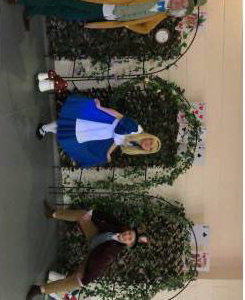 Beyond Wonderland
